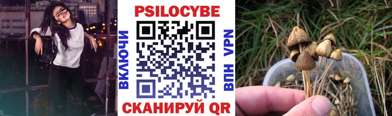 Псилоцибиновые грибы ЛСД Чекалин